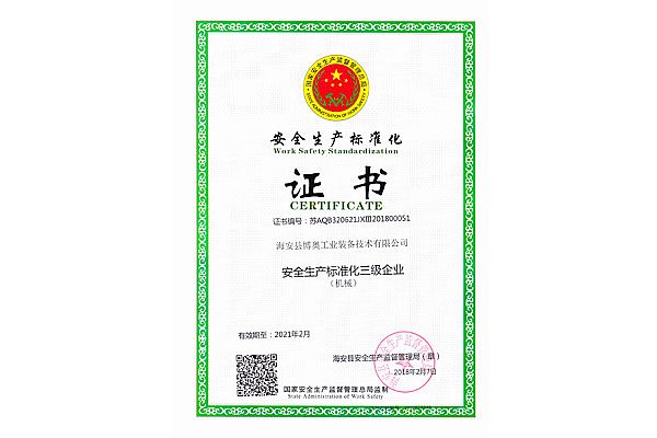 Safety production standardization certificate